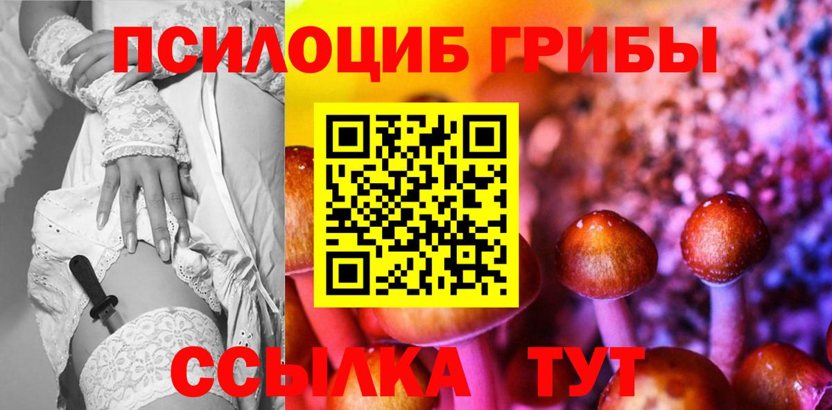 Псилоцибиновые грибы Psilocybine cubensis  Галлюциногенные грибы GOLDEN TEACHER  Новоалтайск  Вход с VPN 
